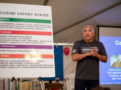 Cesar Milan giving a lecture on canine energy states
