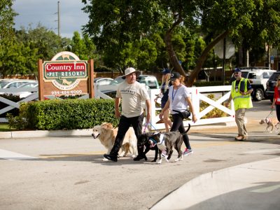 Cesar Milan taking a walk with pet owners and their dogs and showing them how to walk their dogs properly