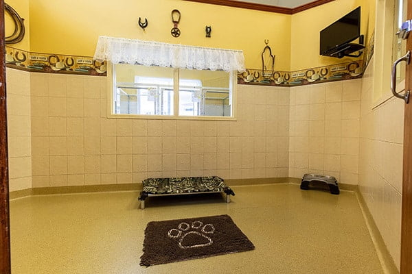 Accommodations - Country Inn Pet Resort & Animal Hospital