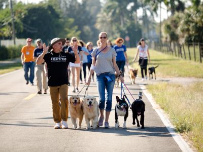 Cesar Milan taking a walk with pet owners and their dogs and showing them how to walk their dogs properly