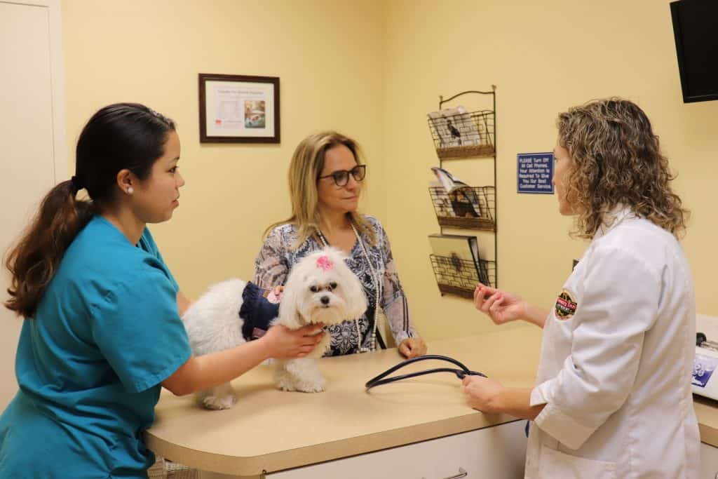 Animal Hospital in Fort Lauderdale, FL