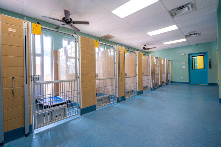 Accommodations - Country Inn Pet Resort & Animal Hospital