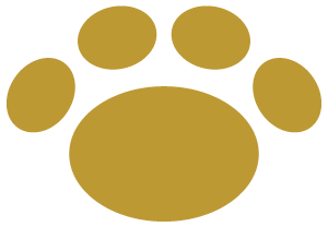 Animal Hospital Fort Lauderdale, FL - AAHA Animal Hospital Fort Lauderdale, FL - AAHA